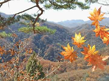 苹果最新产品平板